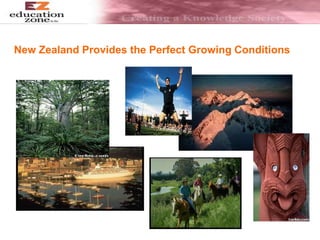 New Zealand Provides the Perfect Growing Conditions
 