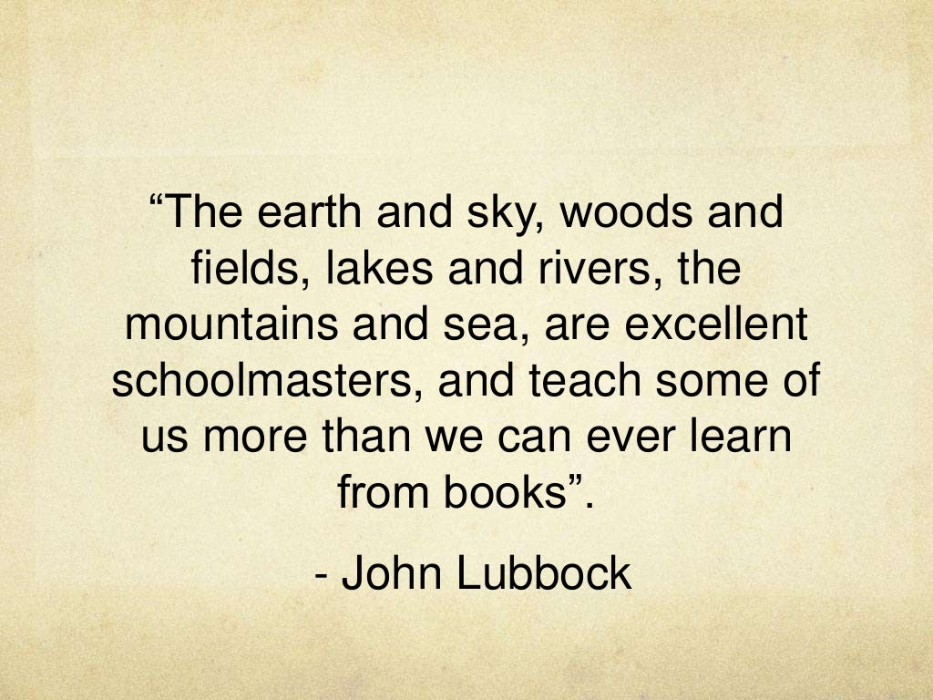 Education inspiration quotes