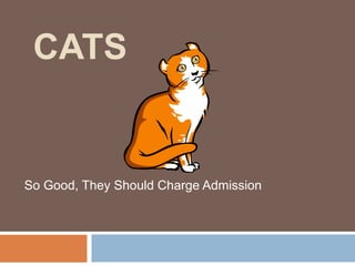CATS So Good, They Should Charge Admission 