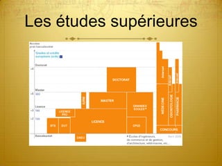 Les études supérieures
 