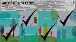 AREAS DEL TEST DENVER
CASO X
AREA MOTOR GRUESO
AREA MOTOR FINO
LENGUAJE
SOCIAL
 