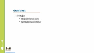 Two types
• Tropical savannahs
• Temperate grasslands
soils4teachers.org/KSKL
Grasslands
 