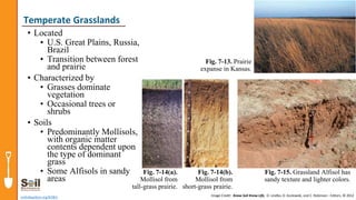 • Located
• U.S. Great Plains, Russia,
Brazil
• Transition between forest
and prairie
• Characterized by
• Grasses dominate
vegetation
• Occasional trees or
shrubs
• Soils
• Predominantly Mollisols,
with organic matter
contents dependent upon
the type of dominant
grass
• Some Alfisols in sandy
areas
soils4teachers.org/KSKL
Temperate Grasslands
Fig. 7-13. Prairie
expanse in Kansas.
Fig. 7-14(a).
Mollisol from
tall-grass prairie.
Fig. 7-14(b).
Mollisol from
short-grass prairie.
Fig. 7-15. Grassland Alfisol has
sandy texture and lighter colors.
Image Credit: Know Soil Know Life, D. Lindbo, D. Kozlowski, and C. Robinson - Editors, © 2012
 