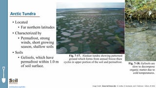 • Located
• Far northern latitudes
• Characterized by
• Permafrost, strong
winds, short growing
season, shallow soils
• Soils
• Gelisols, which have
permafrost within 1.0 m
of soil surface.
soils4teachers.org/KSKL
Fig. 7-17. Alaskan tundra showing patterned
ground which forms from annual freeze-thaw
cycles in upper portion of the soil and permafrost.
Image Credit: Know Soil Know Life, D. Lindbo, D. Kozlowski, and C. Robinson - Editors, © 2012
Arctic Tundra
Fig. 7-18. Gelisols are
slow to decompose
organic matter due to
cold temperatures.
 