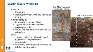 • Located
• Worldwide
• Interfaces between fresh and salt water
bodies
• Characterized by
• Saturated soil in upper 20 cm
• Vegetation adapted to saturated,
oxygen-poor soils
• Freshwater wetlands have less than 1%
salt content
• Soils
• Histosols, which are characterized by
high levels of organic matter
accumulation
• Anaerobic, reducing conditions lead to
little horizon formation
soils4teachers.org/KSKL
Aquatic Biomes (Wetlands)
Image Credit: Know Soil Know Life, D. Lindbo, D. Kozlowski, and C. Robinson - Editors, © 2012
Fig. 7-30. Histosols.
Fig. 7-29 . Presence of
redoximorphic features.
 
