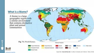 A biome is a large
geographic region with
a similar environment
that contains distinctive
plant and animal
communities
soils4teachers.org/KSKL Image Credit: Know Soil Know Life, D. Lindbo, D. Kozlowski, and C. Robinson - Editors, © 2012
What is a Biome?
Fig. 7-1. World biomes.
 