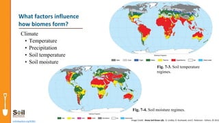 Climate
• Temperature
• Precipitation
• Soil temperature
• Soil moisture
soils4teachers.org/KSKL Image Credit: Know Soil Know Life, D. Lindbo, D. Kozlowski, and C. Robinson - Editors, © 2012
What factors influence
how biomes form?
Fig. 7-3. Soil temperature
regimes.
Fig. 7-4. Soil moisture regimes.
 