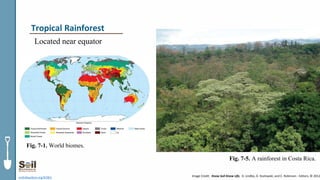 Located near equator
soils4teachers.org/KSKL
Fig. 7-1. World biomes.
Tropical Rainforest
Image Credit: Know Soil Know Life, D. Lindbo, D. Kozlowski, and C. Robinson - Editors, © 2012
Fig. 7-5. A rainforest in Costa Rica.
 