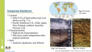 • Located
• Only 0.3% of land surface (not even
shown on Fig. 7-1)
• Pacific Northwest U.S., Chile, Japan,
New Zealand, southern Australia,
Norway, U.K.
• Characterized by
• High levels of precipitation
• May have cooler temperatures than
tropical rainforest
• Soils
• Andisols, Spodosols, and Alfisols.
soils4teachers.org/KSKL
Temperate Rainforest
Fig. 7-11. Spodosols. Fig. 7-9. Alfisols.
Image Credit: Know Soil Know Life, D. Lindbo, D. Kozlowski, and C. Robinson - Editors, © 2012
Fig. 7-2. World
soil orders.
 