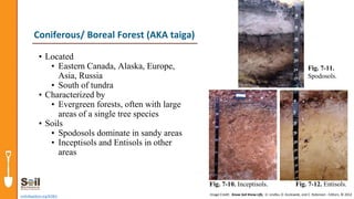 • Located
• Eastern Canada, Alaska, Europe,
Asia, Russia
• South of tundra
• Characterized by
• Evergreen forests, often with large
areas of a single tree species
• Soils
• Spodosols dominate in sandy areas
• Inceptisols and Entisols in other
areas
soils4teachers.org/KSKL
Coniferous/ Boreal Forest (AKA taiga)
Image Credit: Know Soil Know Life, D. Lindbo, D. Kozlowski, and C. Robinson - Editors, © 2012
Fig. 7-12. Entisols.
Fig. 7-11.
Spodosols.
Fig. 7-10. Inceptisols.
 