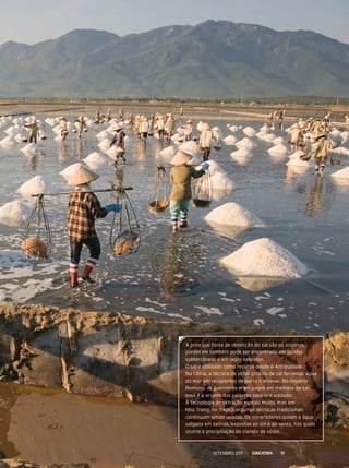 A principal fonte de obtenção do sal são os oceanos,
porém ele também pode ser encontrado em jazidas
subterrâneas e em lagos salgados.
o sal é utilizado como recurso desde a Antiguidade.
Na China, a técnica de obter cristais de sal fervendo água
do mar em recipientes de barro é milenar. No Império
romano, os guerreiros eram pagos em medidas de sal:
essa é a origem das palavras salário e soldado.
A tecnologia de extração evoluiu muito, mas em
Nha trang, no Vietnã, algumas técnicas tradicionais
continuam sendo usadas. os mineradores isolam a água
salgada em salinas, expostas ao sol e ao vento, nas quais
ocorre a precipitação do cloreto de sódio.
Setembro 2011 11
 