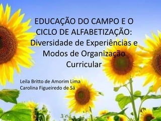 EDUCAÇÃO DO CAMPO E O
CICLO DE ALFABETIZAÇÃO:
Diversidade de Experiências e
Modos de Organização
Curricular
Leila Britto de Amorim Lima
Carolina Figueiredo de Sá
 