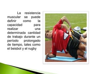 La resistencia
muscular se puede
definir como la
capacidad para
realizar una
determinada cantidad
de trabajo durante un
período prolongado
de tiempo, tales como
el beisbol y el rugby
 