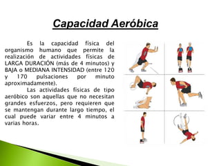 Capacidad Aeróbica
Es la capacidad física del
organismo humano que permite la
realización de actividades físicas de
LARGA DURACIÓN (más de 4 minutos) y
BAJA o MEDIANA INTENSIDAD (entre 120
y 170 pulsaciones por minuto
aproximadamente).
Las actividades físicas de tipo
aeróbico son aquellas que no necesitan
grandes esfuerzos, pero requieren que
se mantengan durante largo tiempo, el
cual puede variar entre 4 minutos a
varias horas.
 