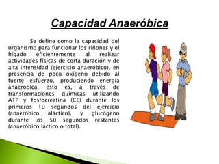 Capacidad Anaeróbica
Se define como la capacidad del
organismo para funcionar los riñones y el
hígado eficientemente al realizar
actividades físicas de corta duración y de
alta intensidad (ejercicio anaeróbico), en
presencia de poco oxígeno debido al
fuerte esfuerzo, produciendo energía
anaeróbica, esto es, a través de
transformaciones químicas utilizando
ATP y fosfocreatina (CE) durante los
primeros 10 segundos del ejercicio
(anaeróbico aláctico), y glucógeno
durante los 50 segundos restantes
(anaeróbico láctico o total).
 