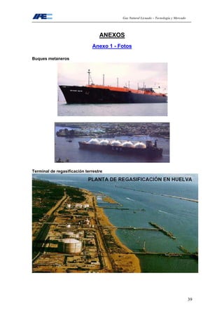 Gas Natural Licuado – Tecnología y Mercado
39
ANEXOS
Anexo 1 - Fotos
Buques metaneros
Terminal de regasificación terrestre
 