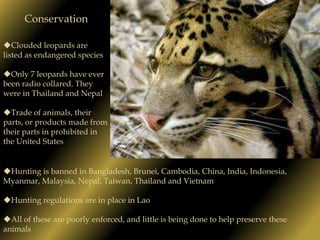 They have sharp claws