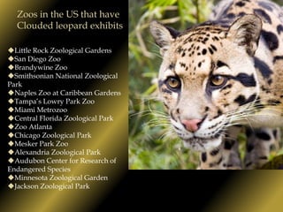 They have flexible ankle joints