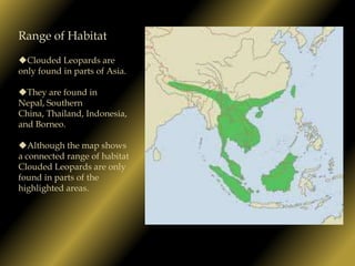 Range of HabitatClouded Leopards are only found in parts of Asia.