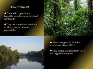 They are found in Nepal, Southern China, Thailand, Indonesia, and Borneo.