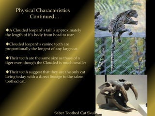  They are typically found at altitudes of about 2000 ft