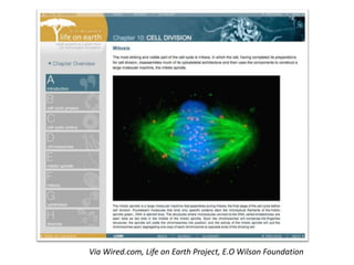 Via Wired.com, Life on Earth Project, E.O Wilson Foundation