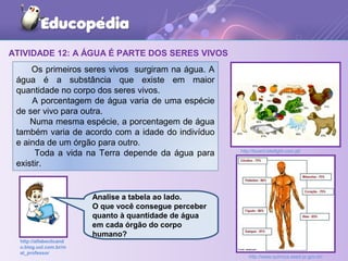 ATIVIDADE 12: A ÁGUA É PARTE DOS SERES VIVOS
Os primeiros seres vivos surgiram na água. A
água é a substância que existe em maior
quantidade no corpo dos seres vivos.
A porcentagem de água varia de uma espécie
de ser vivo para outra.
Numa mesma espécie, a porcentagem de água
também varia de acordo com a idade do indivíduo
e ainda de um órgão para outro.
Toda a vida na Terra depende da água para
existir.
http://board.bitefight.com.pt/
http://alfabeclicand
o.blog.uol.com.br/m
at_professor
Analise a tabela ao lado.
O que você consegue perceber
quanto à quantidade de água
em cada órgão do corpo
humano?
http://www.quimica.seed.pr.gov.br/
 