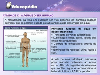 ATIVIDADE 13: A ÁGUA E O SER HUMANO
A manutenção da vida em qualquer ser vivo depende de inúmeras reações
químicas, que só ocorrem quando as substâncias estão dissolvidas em água.
Principais funções da água em
nosso organismo:
 Transporte de várias substâncias;
 Lubrificação: olhos, saliva, líquido que
existe nas articulações;
 Controle da temperatura: através do
suor;
 Eliminação de resíduos: urina, fezes e
suor.
http://www.blogdoperetz.com.br/
A falta de uma hidratação adequada
pode acarretar problemas ao nosso
corpo. Além da ingestão de alimentos
que contém água é recomendado é
beber de 2 litros a 2,5 litros por dia.
 
