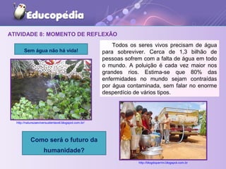 ATIVIDADE 8: MOMENTO DE REFLEXÃO
Sem água não há vida!
Como será o futuro da
humanidade?
http://naturezaeviversustentavel.blogspot.com.br/
Todos os seres vivos precisam de água
para sobreviver. Cerca de 1,3 bilhão de
pessoas sofrem com a falta de água em todo
o mundo. A poluição é cada vez maior nos
grandes rios. Estima-se que 80% das
enfermidades no mundo sejam contraídas
por água contaminada, sem falar no enorme
desperdício de vários tipos.
http://blogdoparrini.blogspot.com.br
 