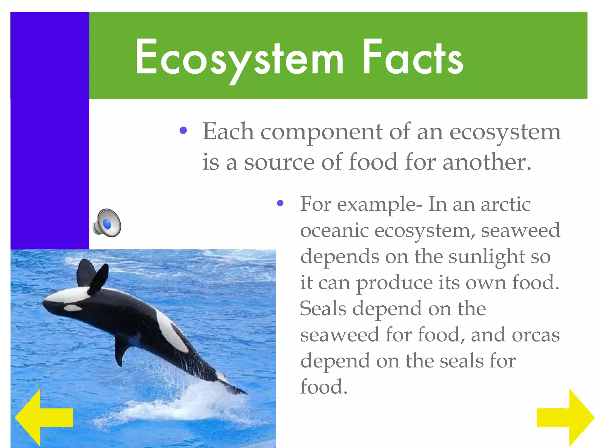 Edu 290 Ecosystem Lesson | PPT