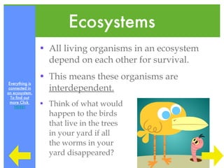 Ecosystems All living organisms in an ecosystem depend on each other for survival. This means these organisms are  interdependent. Think of what would happen to the birds that live in the trees in your yard if all the worms in your yard disappeared? Everything is connected in an ecosystem. To find out more Click  HERE! 