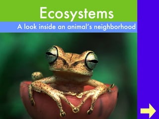 Ecosystems ,[object Object]