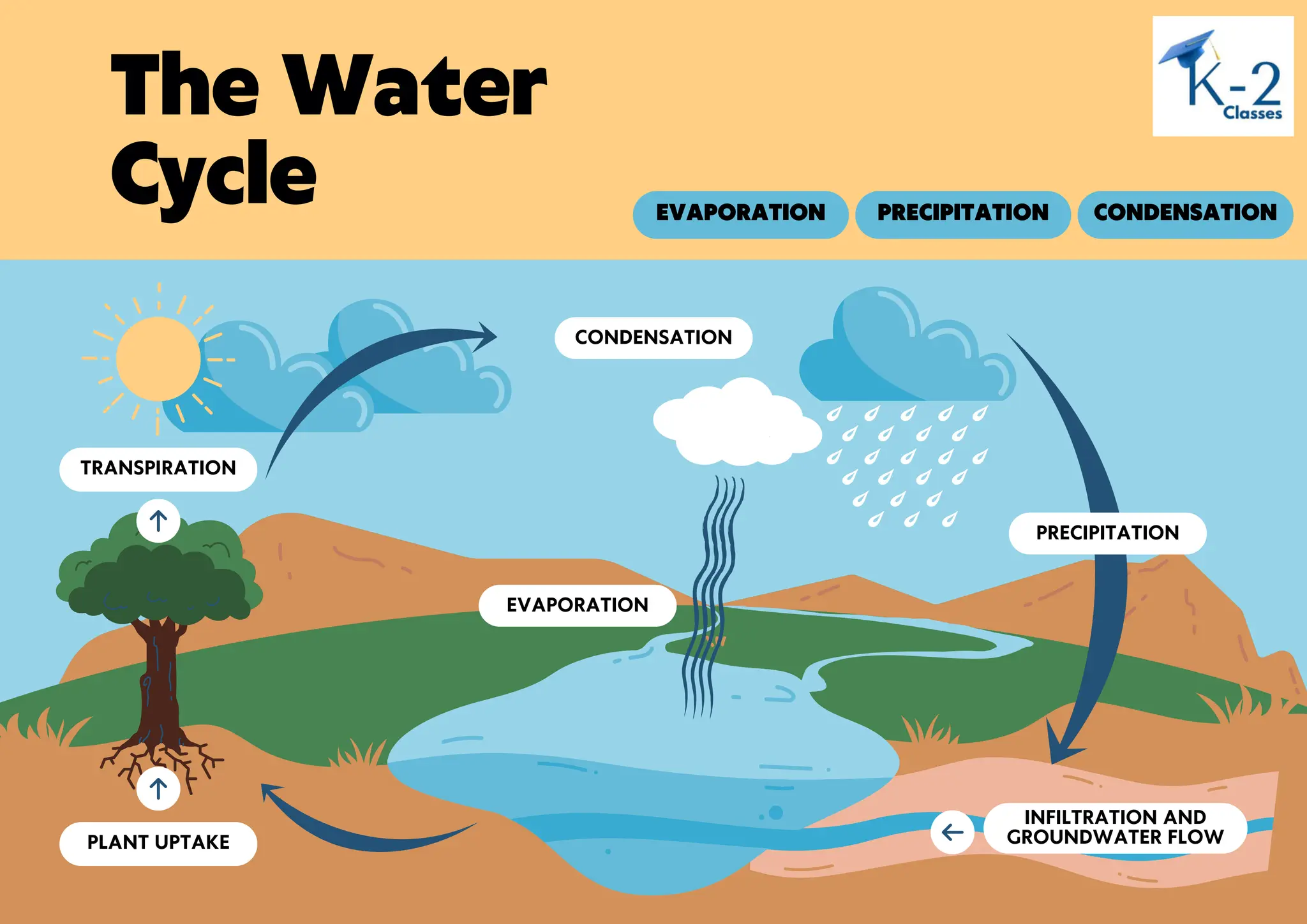 PRECIPITATION
EVAPORATION CONDENSATION
PLANT UPTAKE
TRANSPIRATION
INFILTRATION AND
GROUNDWATER FLOW
CONDENSATION
PRECIPITATION
The Water
Cycle
EVAPORATION