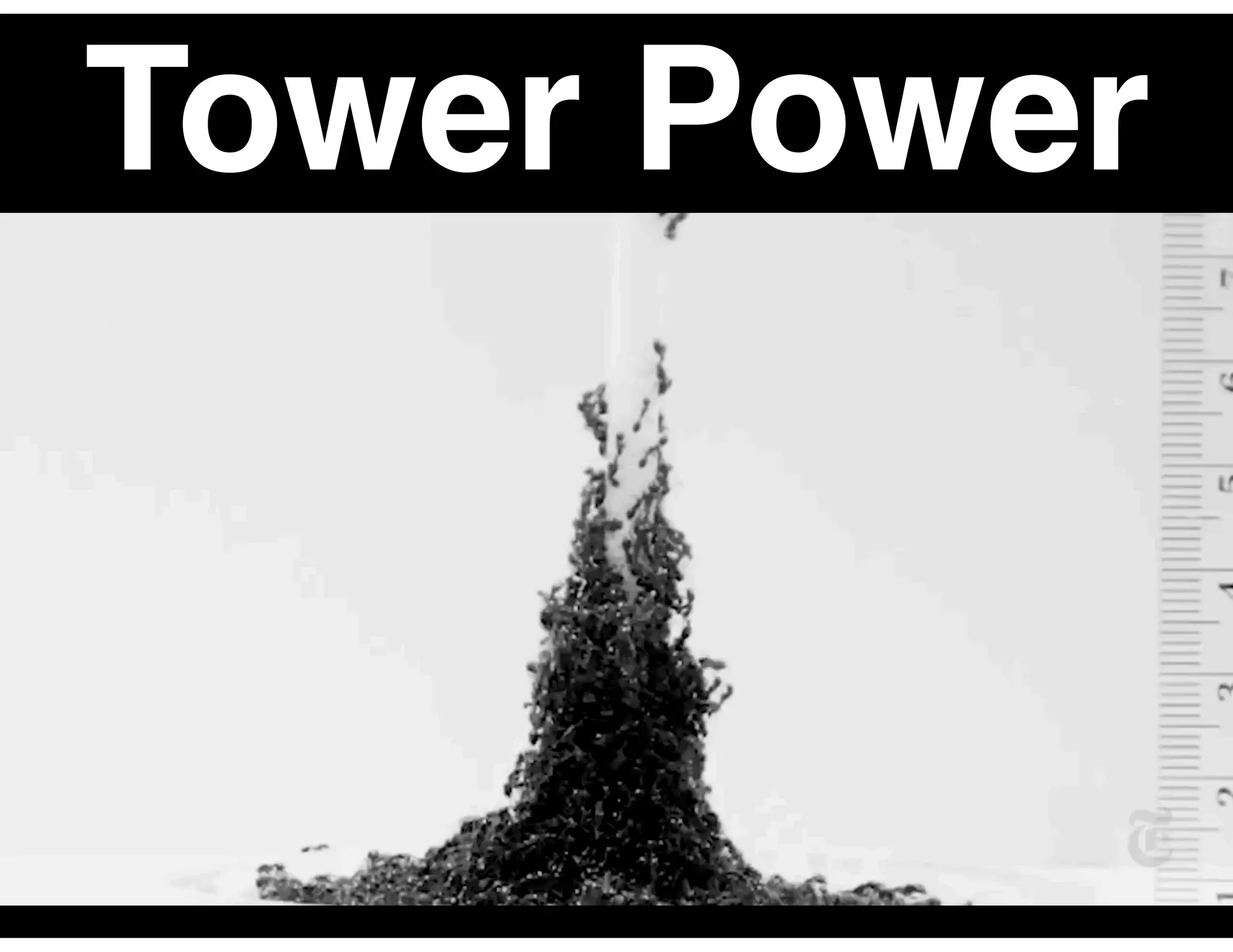 Tower Power
 