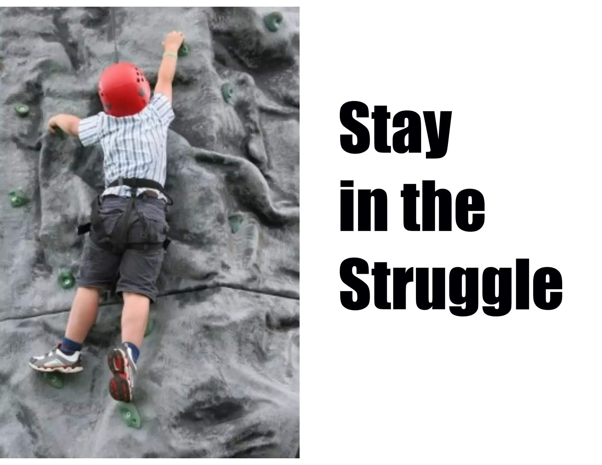 Stay
in the
Struggle
 