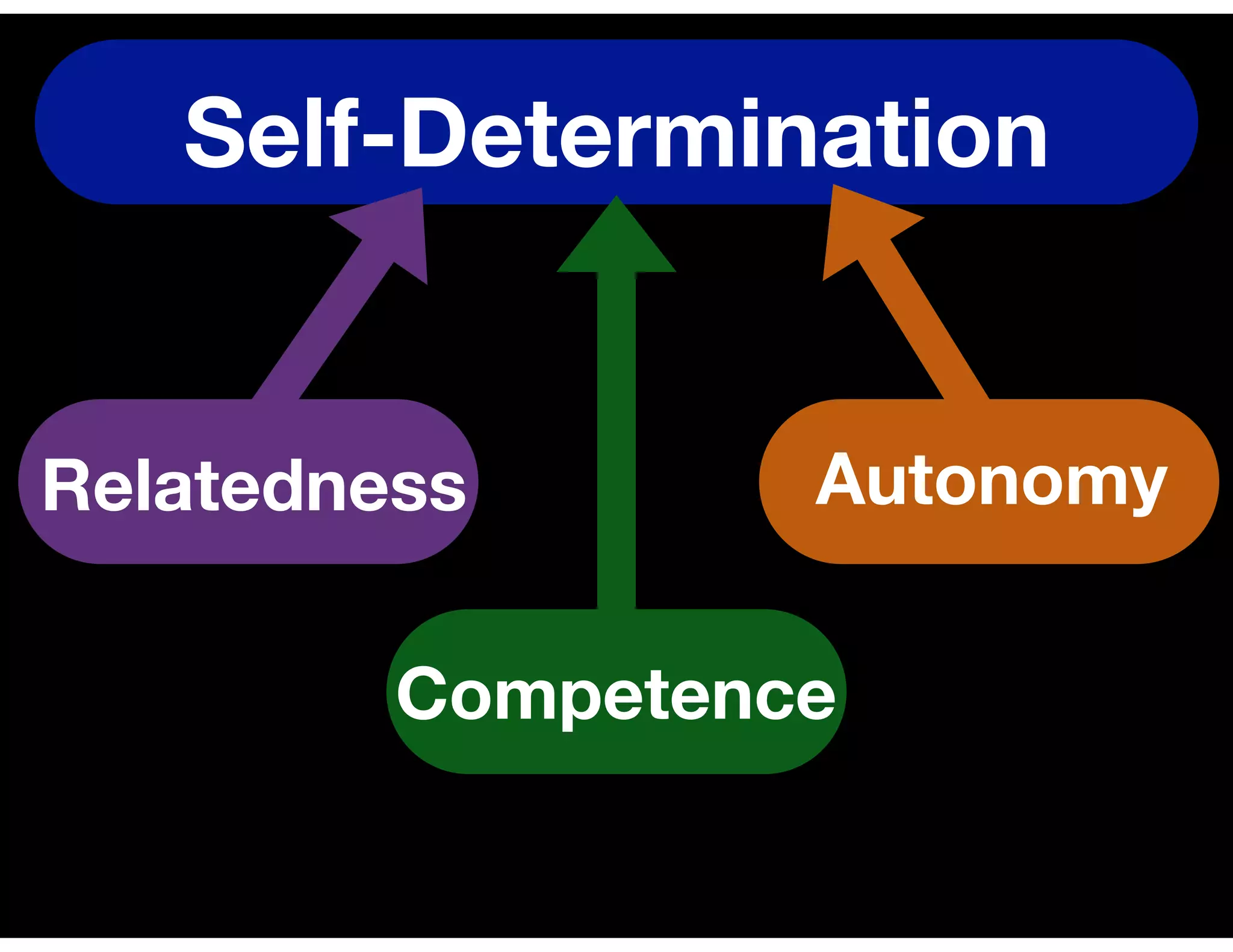 Self-Determination
Relatedness Autonomy
Competence
 