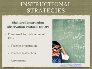 INSTRUCTIONAL
STRATEGIES
Sheltered Instruction
Observation Protocol (SIOP)
Framework for instruction of
ELLs
Teacher Preparation
Teacher Instruction
Assessment
Photo by: Stellapark025 (Own work)
CC BY-SA 4.0 via Wikimedia Commons
 