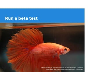 Run a beta test
Photo courtesy of Daniella Vereeken on Flicker Creative Commons
https://www.flickr.com/photos/14805366@N03/1561893602
 