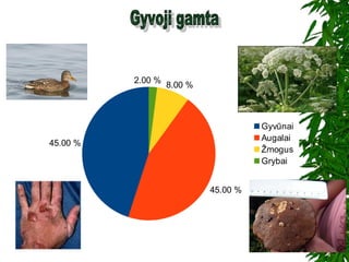 45.00 %
45.00 %
8.00 %
2.00 %
Gyvūnai
Augalai
Žmogus
Grybai
 