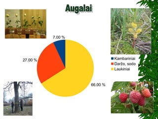 7.00 %
27.00 %
66.00 %
Kambariniai
Daržo, sodo
Laukiniai
 