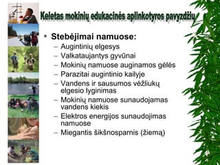  Stebėjimai namuose:
– Augintinių elgesys
– Valkataujantys gyvūnai
– Mokinių namuose auginamos gėlės
– Parazitai augintinio kailyje
– Vandens ir sausumos vėžliukų
elgesio lyginimas
– Mokinių namuose sunaudojamas
vandens kiekis
– Elektros energijos sunaudojimas
namuose
– Miegantis šikšnosparnis (žiemą)
 
