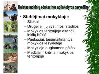  Stebėjimai mokykloje:
– Sliekai
– Drugeliai, jų vystimosi stadijos
– Mokyklos teritorijoje esančių
inkilų būklė
– Paukščiai, besimaitinantys
mokyklos lesyklėlėje
– Mokykloje auginamos gėlės
– Medžiai ir krūmai mokyklos
teritorijoje
 