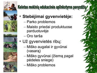  Stebėjimai gyvenvietėje:
– Parko problemos
– Maisto priedai produktuose
parduotuvėje
– Oro tarša
 Už gyvenvietės ribų:
– Miško augalai ir gyvūnai
(vasarą)
– Miško gyvūnai (žiemą pagal
pėdeles sniege)
– Miško problemos
 