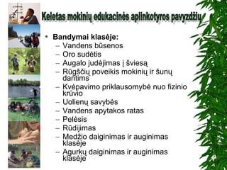  Bandymai klasėje:
– Vandens būsenos
– Oro sudėtis
– Augalo judėjimas į šviesą
– Rūgščių poveikis mokinių ir šunų
dantims
– Kvėpavimo priklausomybė nuo fizinio
krūvio
– Uolienų savybės
– Vandens apytakos ratas
– Pelėsis
– Rūdijimas
– Medžio daiginimas ir auginimas
klasėje
– Agurkų daiginimas ir auginimas
klasėje
 