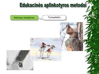Natūralus stebėjimasNatūralus stebėjimas TrumpalaikisTrumpalaikis
 
