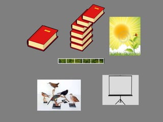 Edukacinė
aplinkotyra
Edukacinė aplinkotyra:
vetoje įvado
Socialinė
aplinka
Mokyklos
bendriomenė
Visuomenė
Mokiniai
Mokinių artimieji
Mokytojai
Kiti darbuotojai
Gyvoji gamta Negyvoji gamta
Gyvūnija
Augalija
Ekologija
Mitybos
grandinės
Buveinės
Dirvožemis
Vanduo
Oras
Orai, sezonai
Ekologinės
problemos
Dangaus kūnai
 