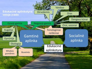 Edukacinė
aplinkotyra
Edukacinė aplinkotyra:
vetoje įvado
Fenologiniai
reiškiniai
Gamtinė
aplinka
Socialinė
aplinka
Gyvoji gamta Negyvoji gamta
Gyvūnija
Augalija
Ekologija
Mitybos
grandinės
Buveinės
Dirvožemis
Vanduo
Oras
Orai, sezonai
Fenologiniai
reiškiniai
Dangaus kūnai
 