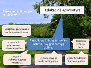 Pasaulio pažinimas tyrinėjant
artimiausią gyvenamąją
aplinką
Edukacinė aplinkotyra:
vetoje įvado
pažįstant gamtinius ir
socialinius reiškinius
atrandant
priežasties -
pasekmės ryšius
įgijant aktyvaus
mokymosi įgūdžių
ugdant
aplinkosaugines
nuostatas
teigiamų
emocijų
fone
įgijant bendradar-
biavimo įgūdžių
Edukacinė aplinkotyra
 