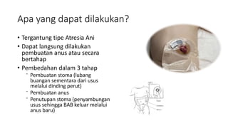 Apa yang dapat dilakukan?
• Tergantung tipe Atresia Ani
• Dapat langsung dilakukan
pembuatan anus atau secara
bertahap
• Pembedahan dalam 3 tahap
⁻ Pembuatan stoma (lubang
buangan sementara dari usus
melalui dinding perut)
⁻ Pembuatan anus
⁻ Penutupan stoma (penyambungan
usus sehingga BAB keluar melalui
anus baru)
 