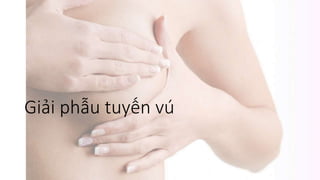 Giải phẫu tuyến vú
 